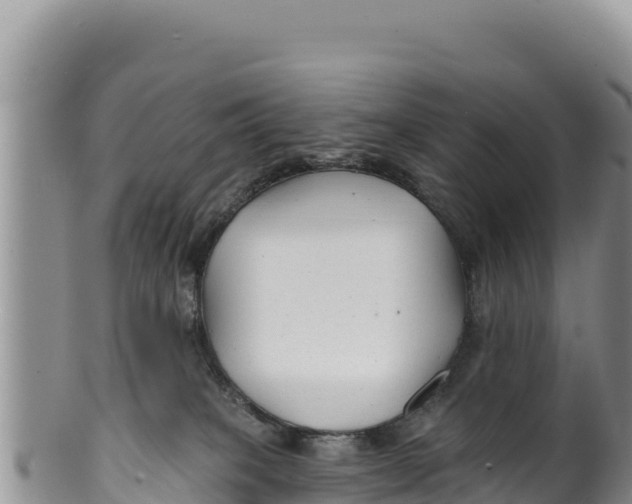 X0000100210085200806201454