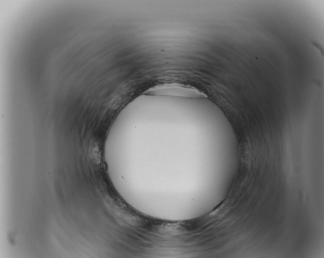 X0000100210086200806201454