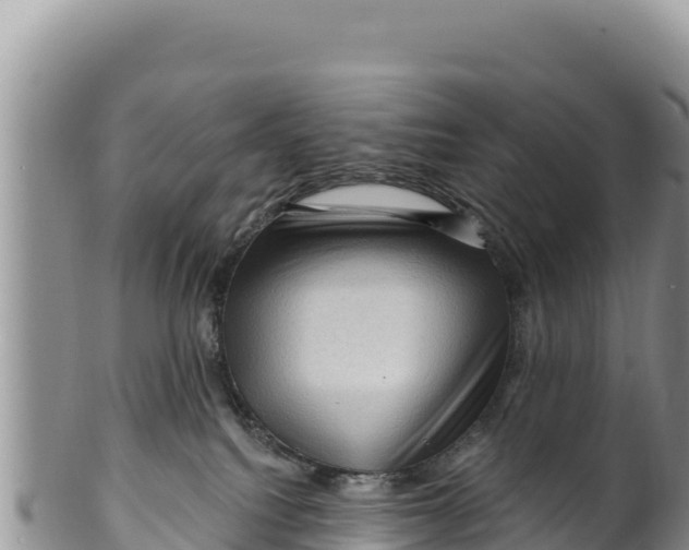X0000100210088200806201454