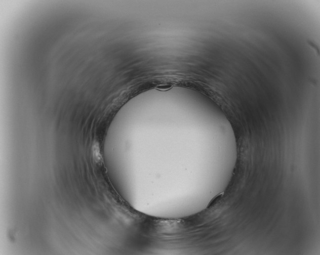 X0000100210089200806201454