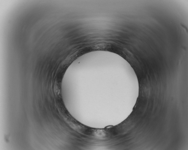 X0000100210091200806201454
