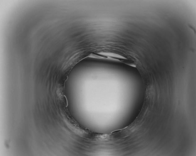 X0000100210092200806201454
