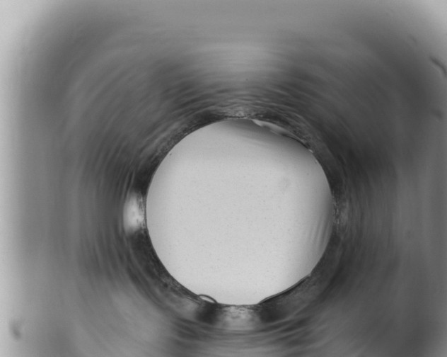 X0000100210095200806201454