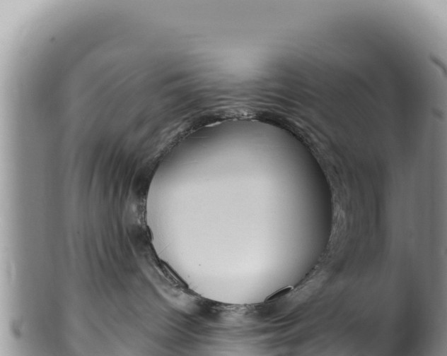 X0000100210096200806201454
