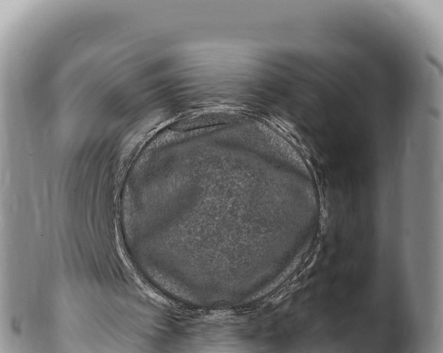 X0000100210097200806201454