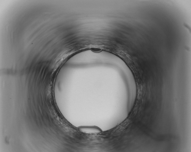 X0000100210098200806201453