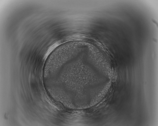 X0000100210099200806201453