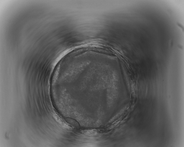 X0000100210100200806201453