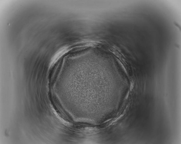 X0000100210101200806201453