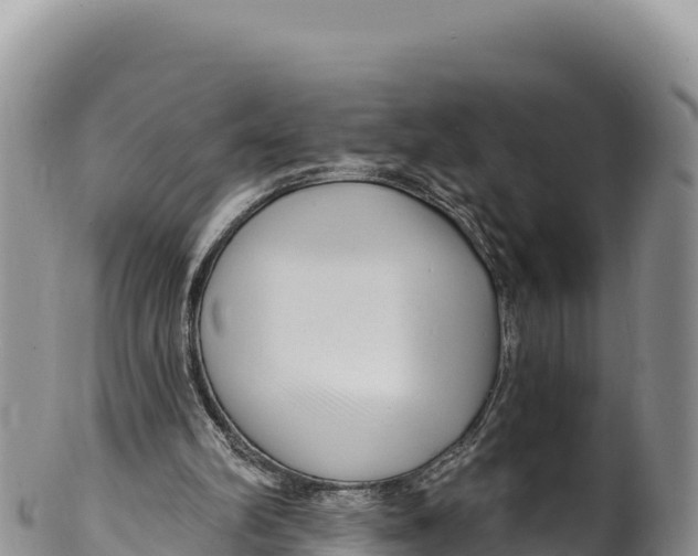 X0000100210102200806201453