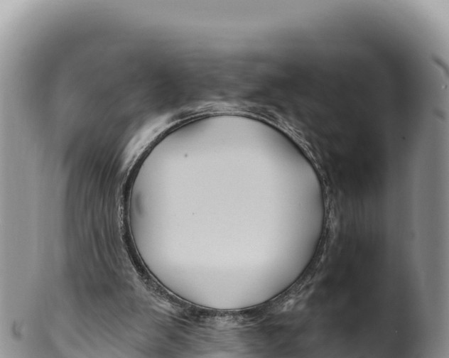 X0000100210103200806201453