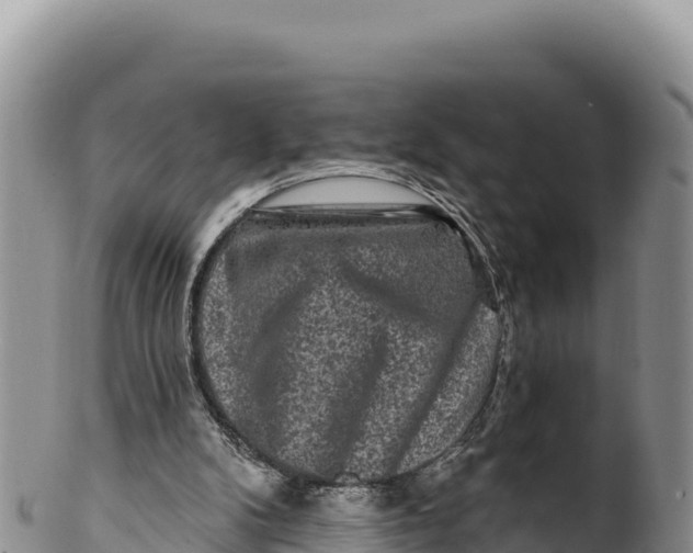 X0000100210104200806201453