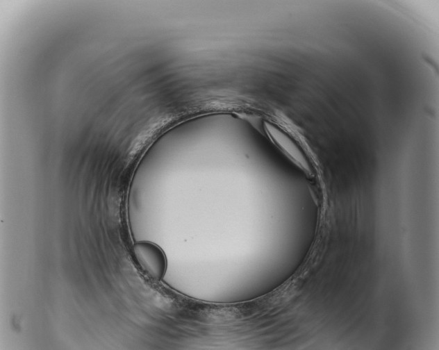 X0000100210106200806201453
