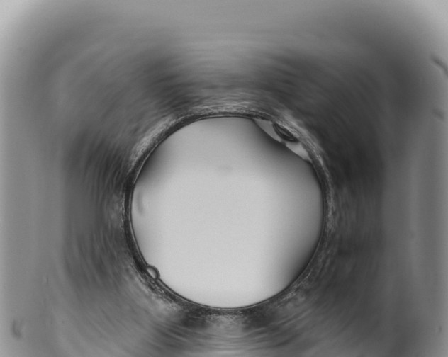 X0000100210107200806201453