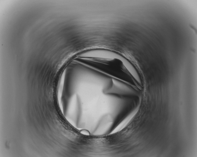 X0000100210108200806201453