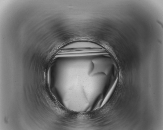 X0000100210109200806201453