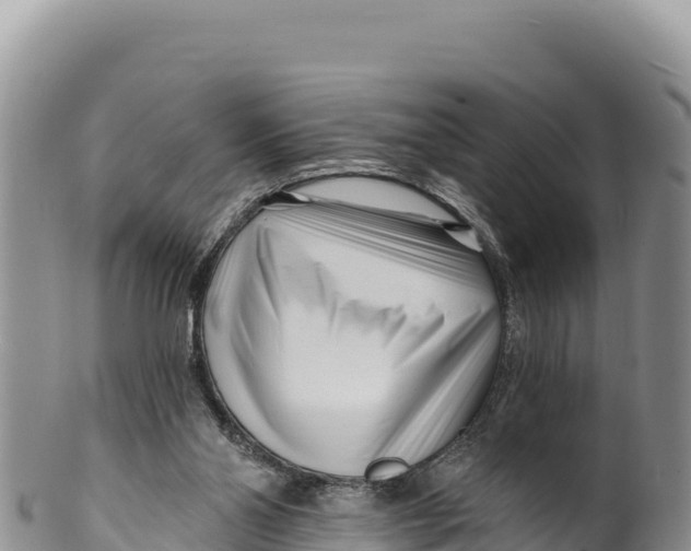 X0000100210110200806201453