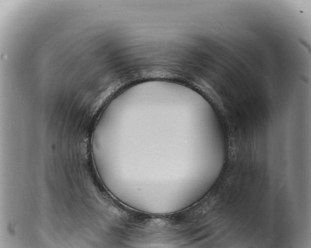 X0000100210111200806201453