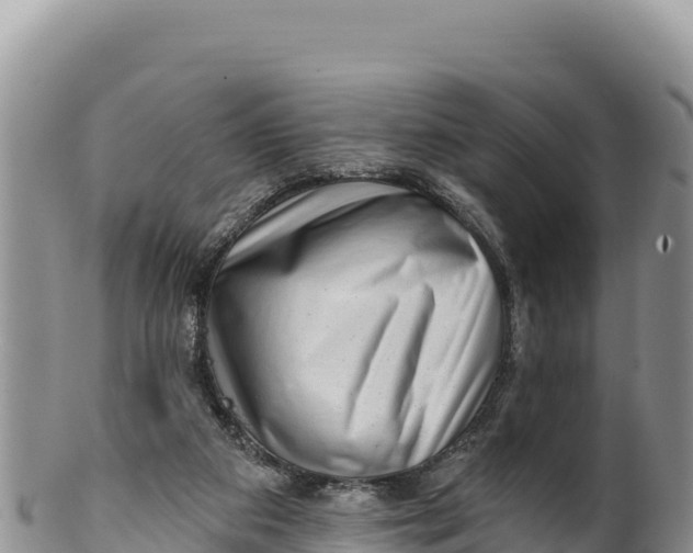 X0000100210113200806201453