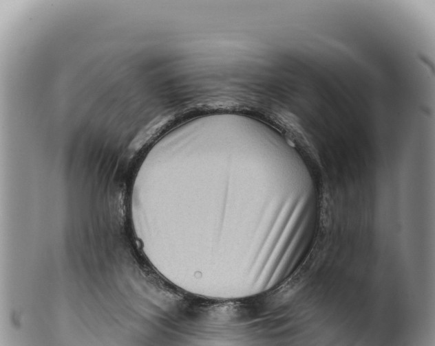 X0000100210116200806201453