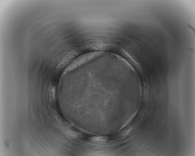X0000100210117200806201453