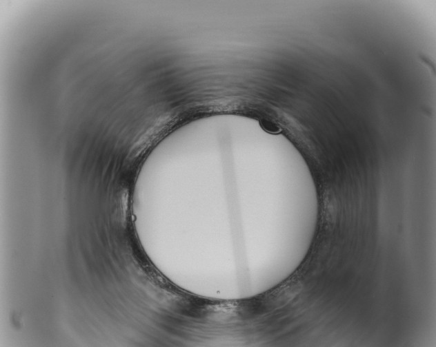 X0000100210118200806201453