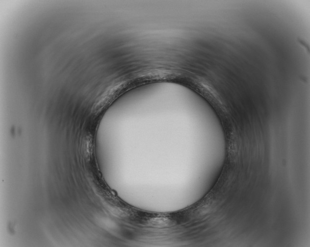 X0000100210119200806201453