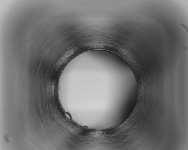 X0000100210120200806201453