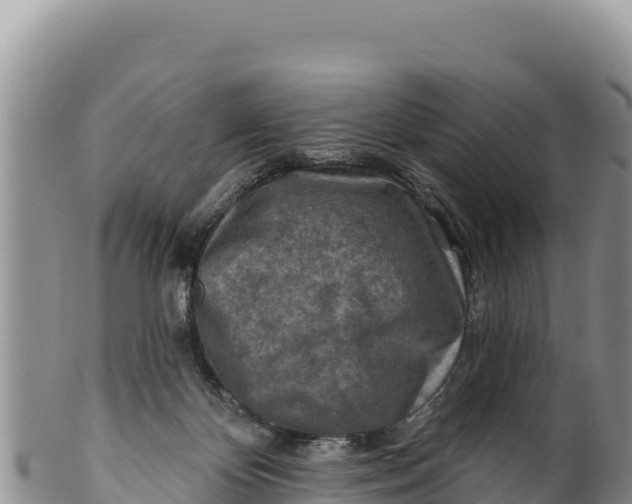 X0000100210124200806201453