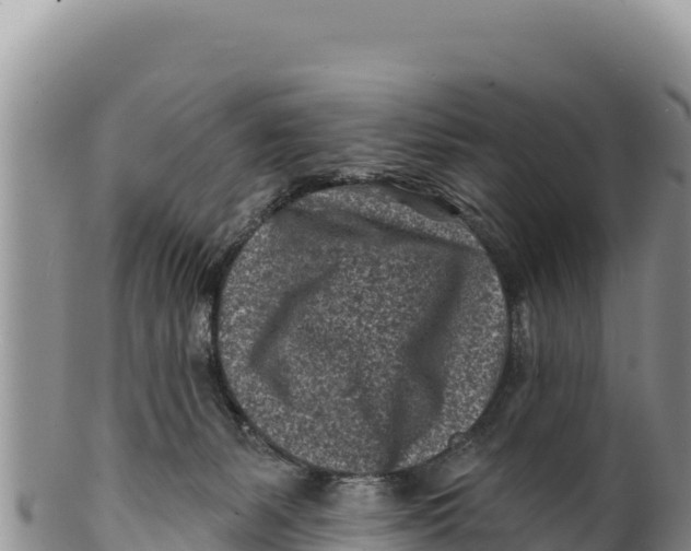 X0000100210127200806201453
