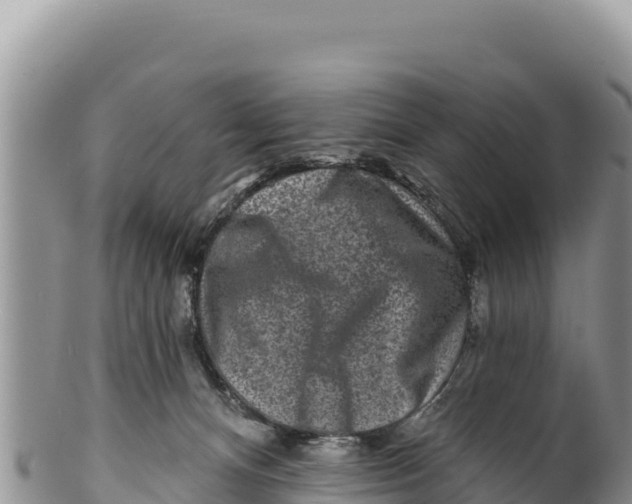 X0000100210128200806201453