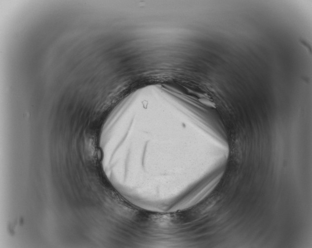 X0000100210131200806201453