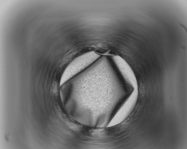 X0000100210132200806201453