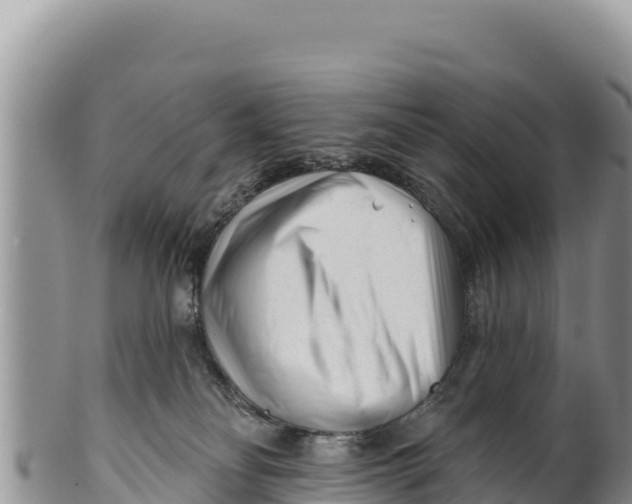 X0000100210134200806201453