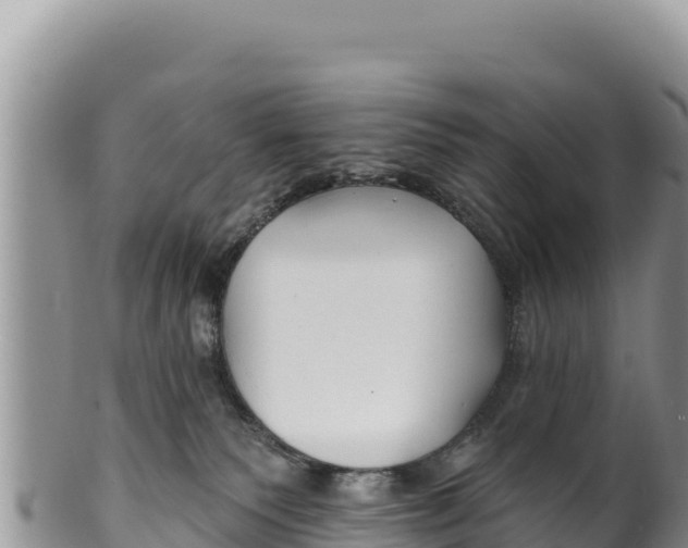 X0000100210135200806201453