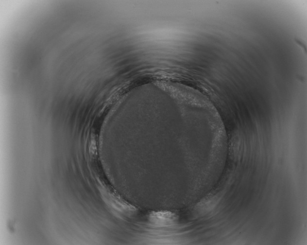 X0000100210137200806201453