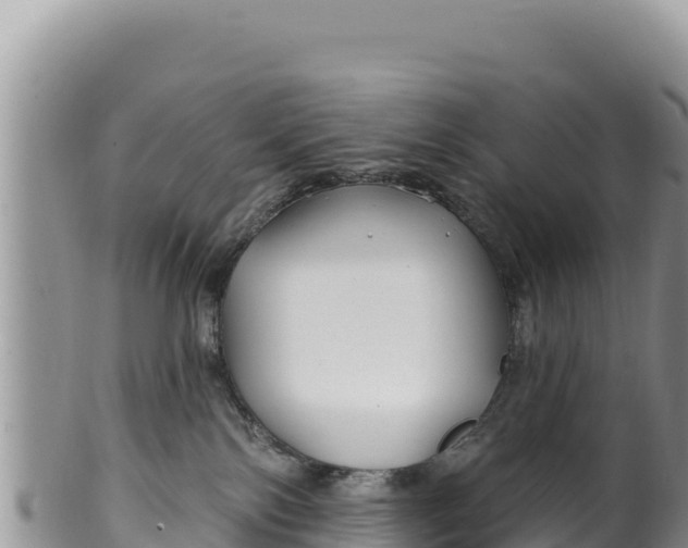 X0000100210138200806201453