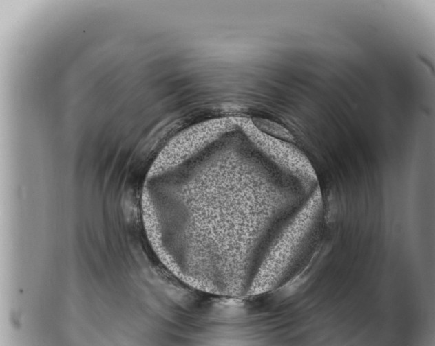 X0000100210140200806201453