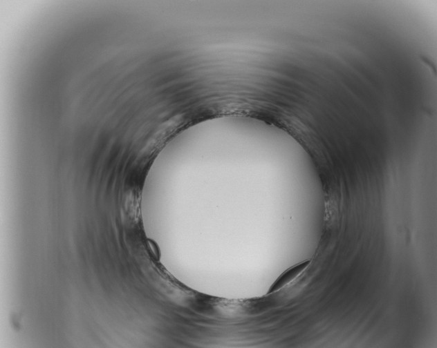 X0000100210142200806201453