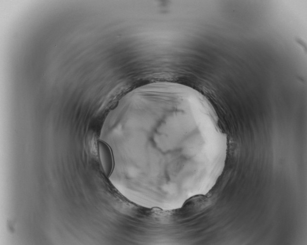 X0000100210143200806201453