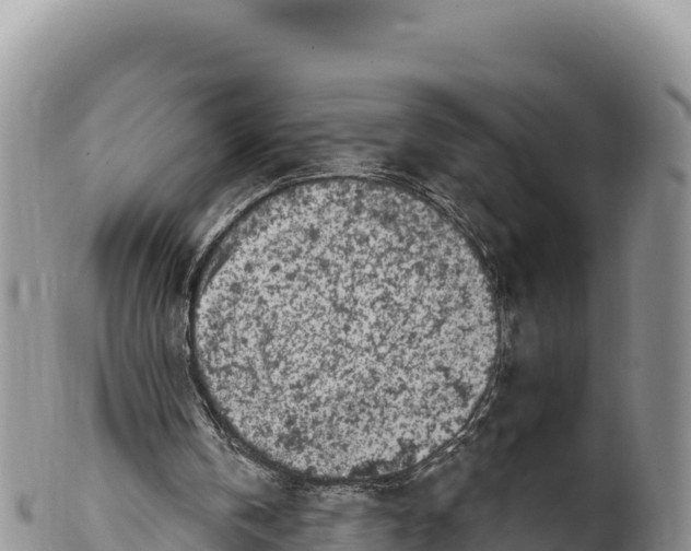 X0000100210146200806201452