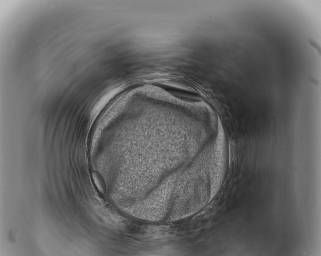 X0000100210147200806201452
