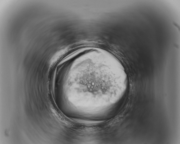 X0000100210149200806201452