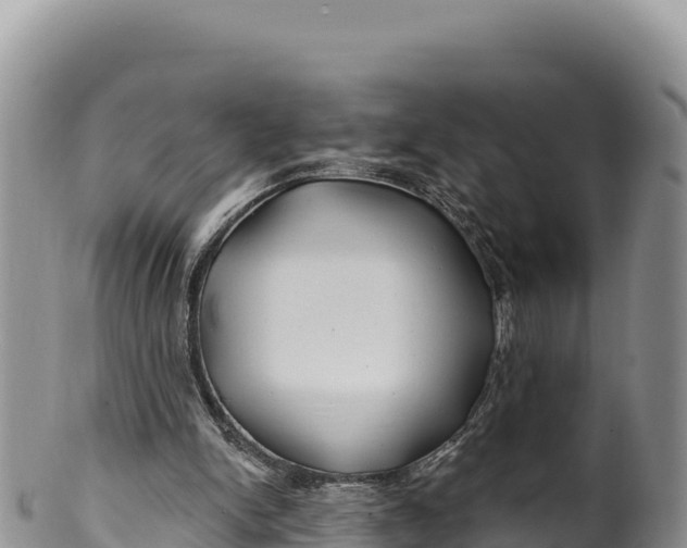 X0000100210150200806201452