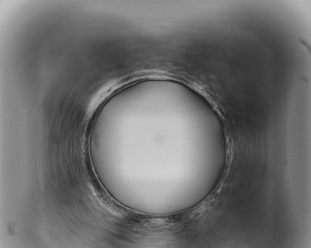 X0000100210151200806201452