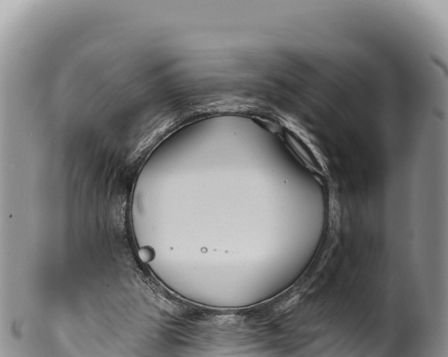 X0000100210153200806201452
