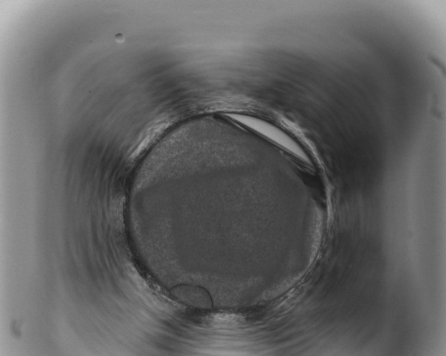 X0000100210154200806201452