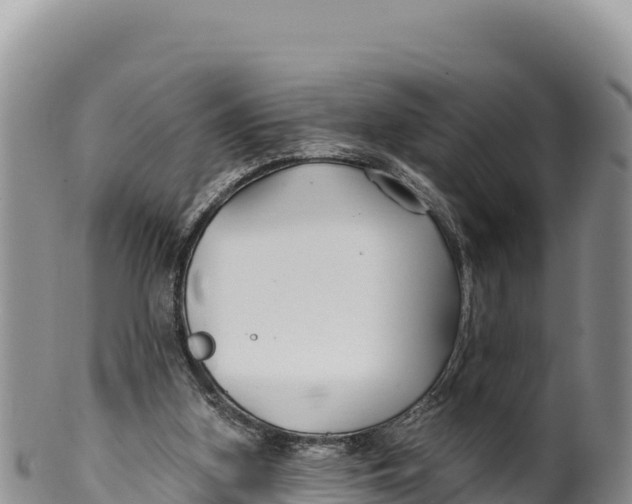 X0000100210155200806201452