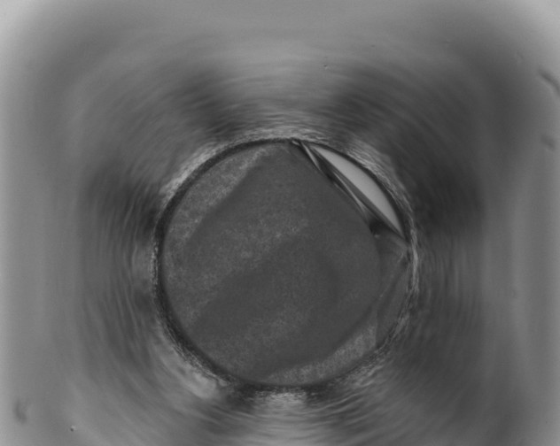X0000100210156200806201452