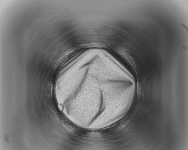 X0000100210157200806201452